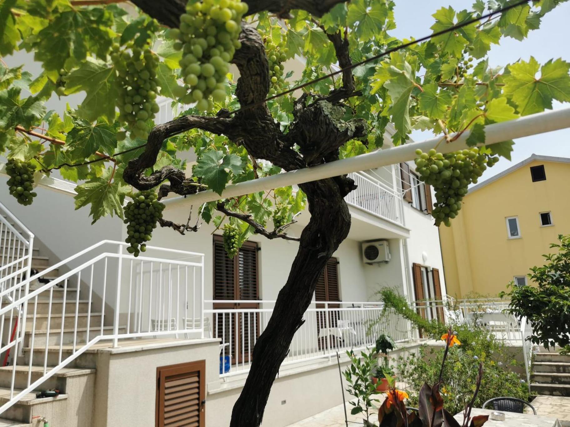Residence Pical Poreč Extérieur photo